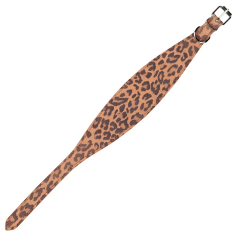 Arppe Collar Con Estampado De Leopardo Para Galgos 3 Arppe Collar Con Estampado De Leopardo Para Galgos
