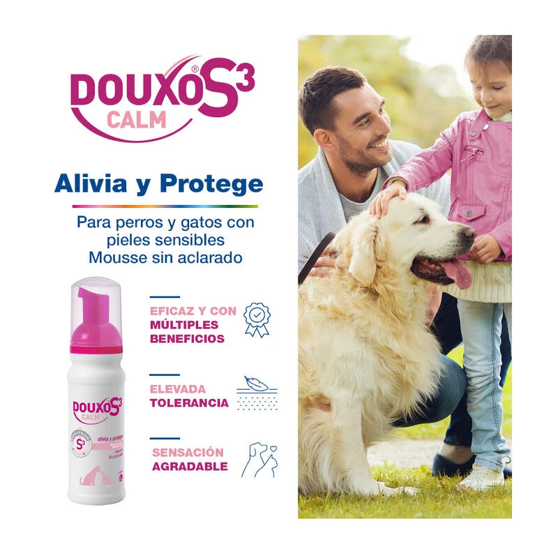 Douxo S3 Calm Mousse Piel Sensible Para Mascotas 4 Douxo S3 Calm Mousse Piel Sensible Para Mascotas - Imagen 2