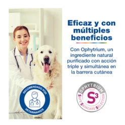 Douxo S3 Calm Mousse Piel Sensible Para Mascotas 10 Douxo S3 Calm Mousse Piel Sensible Para Mascotas -Perros Artículos Tienda Ceva Douxo S3 Calm piel sensible champu mascotas CEVD98010I 4