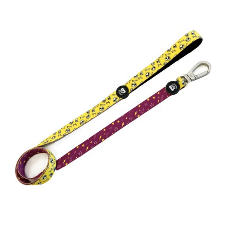 Dukier Skulls Correa Estampado Calaveras Para Perros