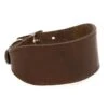 TK-Pet Namur Collar De Cuero Marrón Para Galgos 2 TK-Pet Namur Collar De Cuero Marrón Para Galgos -Perros Artículos Tienda TKPet Namur marron collar de cuero para galgos TKP41635