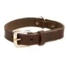 TK-Pet Namur Collar De Cuero Marrón Para Perros -Perros Artículos Tienda TKPet Namur marron collar de cuero para perros TKP41630 M