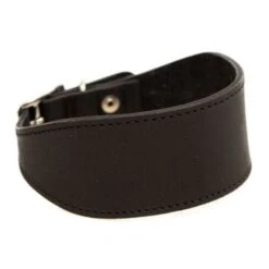 TK-Pet Namur Collar De Cuero Negro Para Galgos