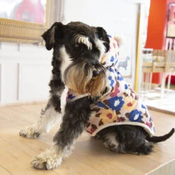 Outech Spring Abrigo Para Perros -Perros Artículos Tienda abrigo spring OUT40351204