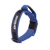 Julius K9 Collar Doble Cierre Azul Para Perros 2 Julius K9 Collar Doble Cierre Azul Para Perros -Perros Artículos Tienda accesorio perros juliusk9 doble cierre collar azul JULJ61489 M