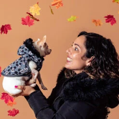 Disney Abrigo Gris Con Estampado De Mickey Para Perros -Perros Artículos Tienda accesorios perro abrigo mickey disney FFP2800000792 M 5