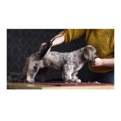 Moser Max 45 Máquina Cortapelo Para Perros -Perros Artículos Tienda accesorios perro higiene artero max 45 MOSAA1245 3