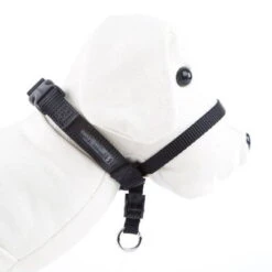 Easy Walk Collar De Adiestramiento Negro Para Perros