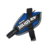 Julius K9 Julius K-9 IDC Powair Arnés Azul Para Perros 1 Julius K9 Julius K-9 IDC Powair Arnés Azul Para Perros -Perros Artículos Tienda arnes julius k9 azul JUL20PA B 2XS