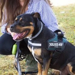 Julius K9 Julius K-9 IDC Arnés Verde Para Perros -Perros Artículos Tienda arnes perros julius k9 idc personalizado verde JUL93169 1