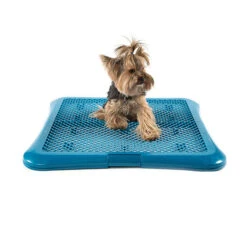 TK-Pet Bandeja De Adiestramiento Para Perros