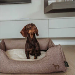 Hunter Boston Cozy Sofá Marrón Para Perros -Perros Artículos Tienda cama perros huter sofa boston HUNH64382 6