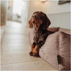 Hunter Boston Cozy Sofá Marrón Para Perros -Perros Artículos Tienda cama perros huter sofa boston HUNH64382 8