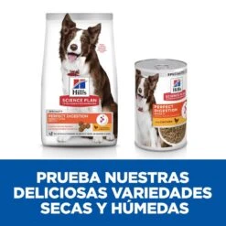 Hill's Hill’s Science Plan Perfect Digestion Adult Medium Pollo Pienso Para Perros -Perros Artículos Tienda comida para perros medium pollo Hills HIL605967 JN23205