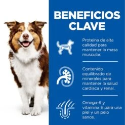 Hill's Science Plan Mature Adult Medium Pollo Pienso Para Perros 12 Hill's Science Plan Mature Adult Medium Pollo Pienso Para Perros -Perros Artículos Tienda comida perros hills adult mature pollo newpack HIL7653DA M JN23203