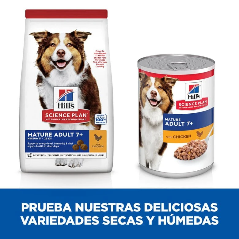 Hill's Science Plan Mature Adult Medium Pollo Pienso Para Perros 8 Hill's Science Plan Mature Adult Medium Pollo Pienso Para Perros - Imagen 6