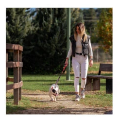 Disney DC Supermascotas Correa Para Perros 9 Disney DC Supermascotas Correa Para Perros -Perros Artículos Tienda correa premium perros DC super man DCC2800000874 3