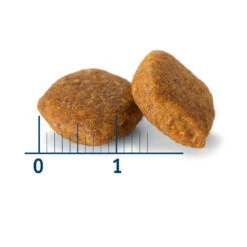 Nath Adult Medium Maxi Sensitive Pescado Blanco Y Salmón Pienso Para Perros 8 Nath Adult Medium Maxi Sensitive Pescado Blanco Y Salmón Pienso Para Perros -Perros Artículos Tienda croqueta perro nath sensitive medium maxi