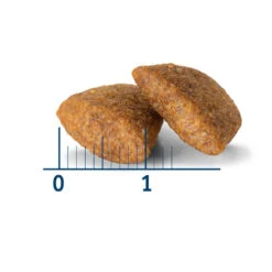 Pienso Nath Adult Medium Maxi Weight Control Perros 8 Pienso Nath Adult Medium Maxi Weight Control Perros -Perros Artículos Tienda croqueta perro nath weight control medium maxi