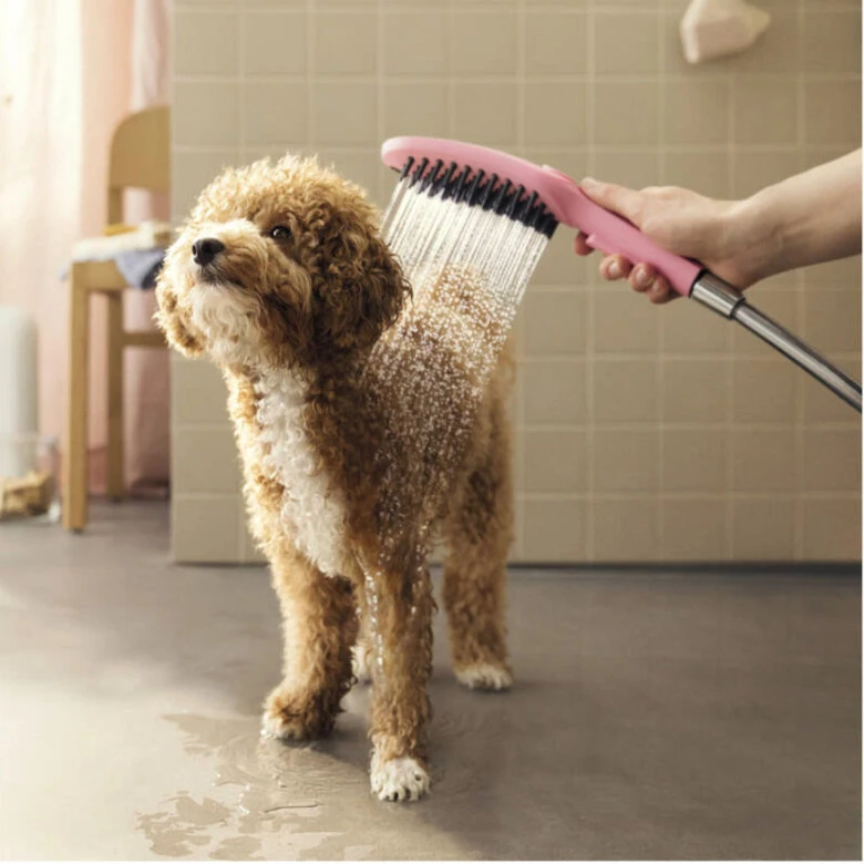 Hansgrohe Alcachofa De Ducha Rosa Para Perros 4 Hansgrohe Alcachofa De Ducha Rosa Para Perros - Imagen 2