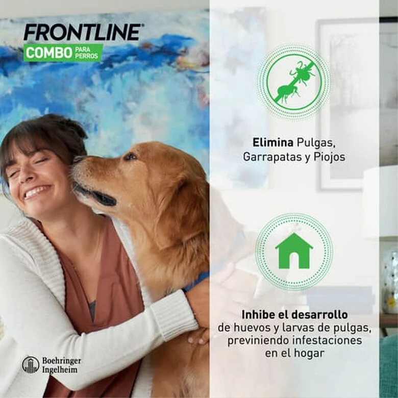 Frontline Combo Pipetas Antiparasitarias Para Perros Gigantes - Imagen 3