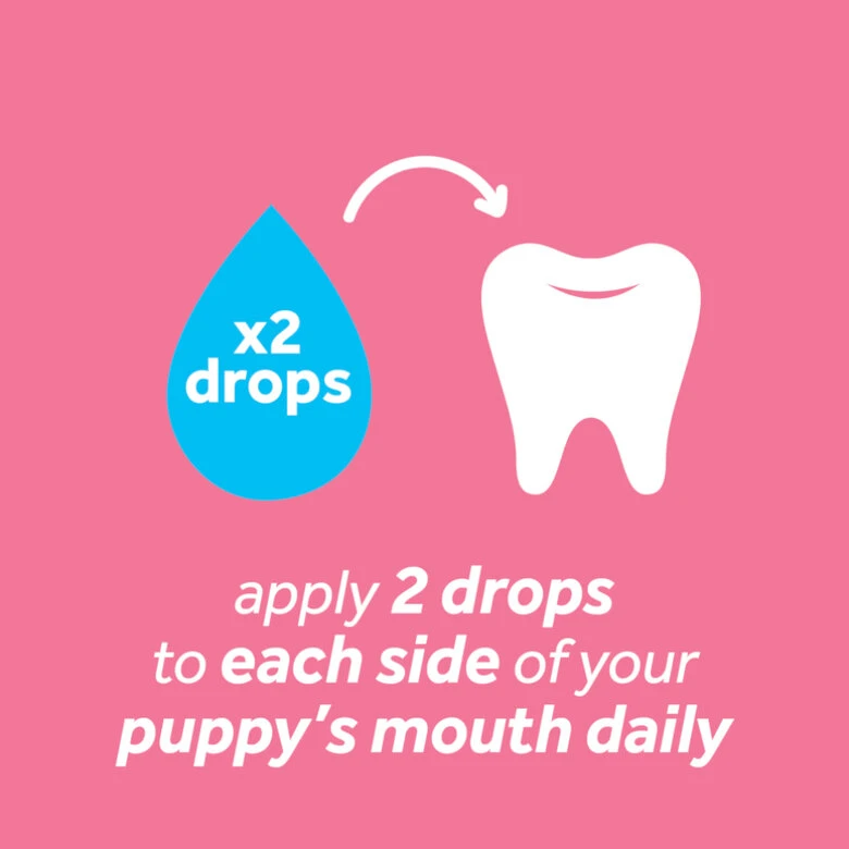 Tropiclean Fresh Breath Gel Oral Menta Para Cachorros 4 Tropiclean Fresh Breath Gel Oral Menta Para Cachorros - Imagen 2