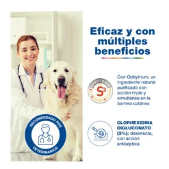 Douxo S3 Pyo Espuma Desinfectante Para Perros Y Gatos -Perros Artículos Tienda higiene espuma desinfectante CEVD98310L M 4