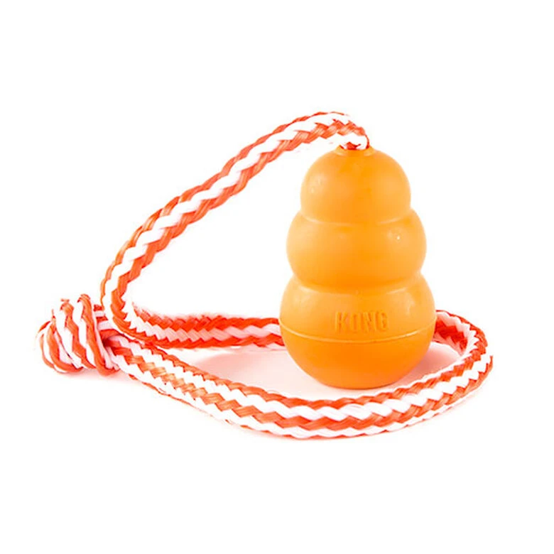 Kong Aqua Juguete Con Cuerda Para Perros 3 Kong Aqua Juguete Con Cuerda Para Perros