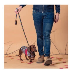 Disney Marvel Chubasquero Capitán América Para Perros -Perros Artículos Tienda marvel impermeable capi perros FFP2800000656 6