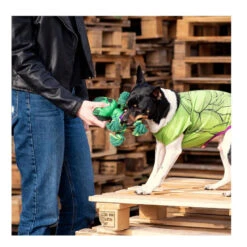 Disney Marvel Hulk De Peluche Con Cuerda Para Perros -Perros Artículos Tienda marvel peluche mordedor cuerda hulk FFP2800000490 2