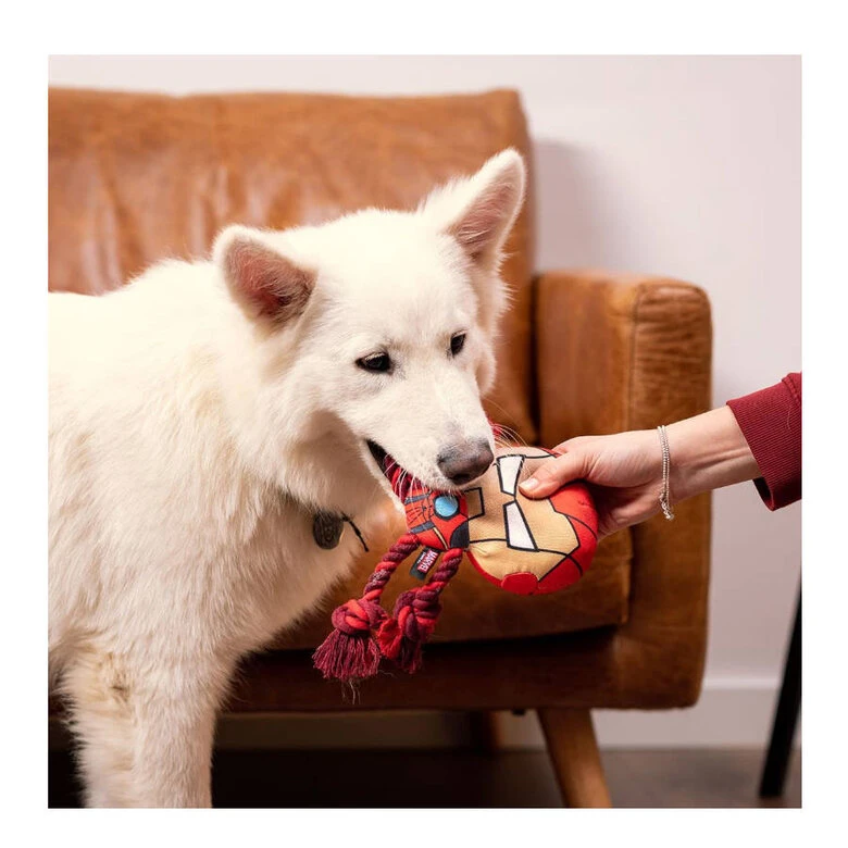 Disney Marvel Iron Man De Peluche Con Cuerda Para Perros 4 Disney Marvel Iron Man De Peluche Con Cuerda Para Perros - Imagen 2