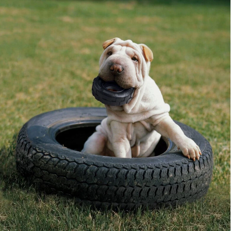 Kong Traxx Neumático Mordedor De Goma Para Perros 4 Kong Traxx Neumático Mordedor De Goma Para Perros - Imagen 2