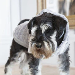 Outech Fleece Sudadera Gris Con Estampado De Estrellas Para Perros 12 Outech Fleece Sudadera Gris Con Estampado De Estrellas Para Perros -Perros Artículos Tienda perro accesorio outech ropa sudadera estrellas OUT40356202