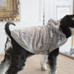 Outech Fleece Sudadera Gris Con Estampado De Estrellas Para Perros 11 Outech Fleece Sudadera Gris Con Estampado De Estrellas Para Perros -Perros Artículos Tienda perro accesorio outech ropa sudadera estrellas OUT40356203