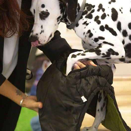 Outech White Mountain Abrigo Para Perros 6 Outech White Mountain Abrigo Para Perros - Imagen 4