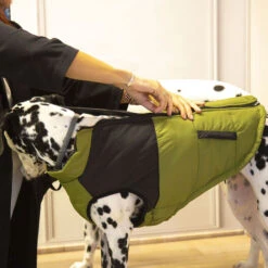 Outech White Mountain Abrigo Para Perros 10 Outech White Mountain Abrigo Para Perros -Perros Artículos Tienda perro accesorios ropa abrigo perros outech white mountain OUT40369202