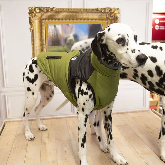 Outech White Mountain Abrigo Para Perros 4 Outech White Mountain Abrigo Para Perros - Imagen 2