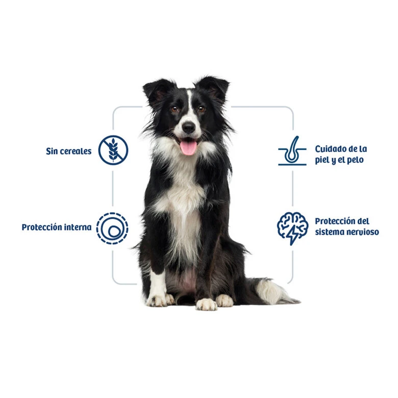 Nath Adult Medium Maxi Sensitive Pescado Blanco Y Salmón Pienso Para Perros 4 Nath Adult Medium Maxi Sensitive Pescado Blanco Y Salmón Pienso Para Perros - Imagen 2