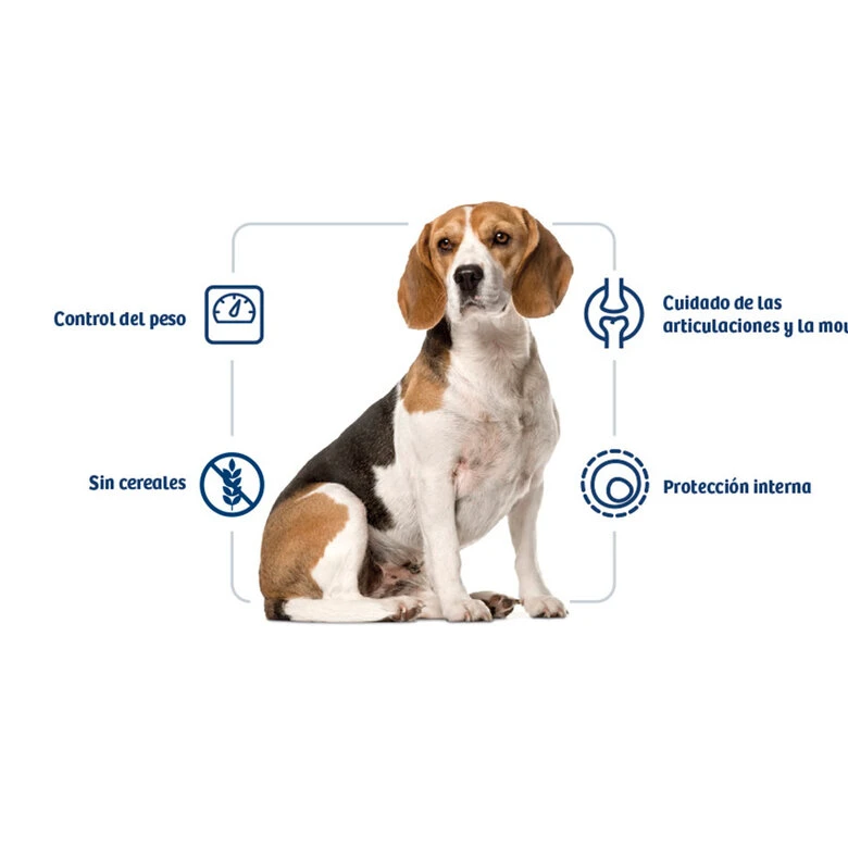 Pienso Nath Adult Medium Maxi Weight Control Perros 4 Pienso Nath Adult Medium Maxi Weight Control Perros - Imagen 2
