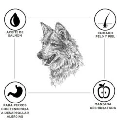 Criadores Adulto Cordero Y Arroz Pienso Para Perros De Razas Mediana Y Grande 9 Criadores Adulto Cordero Y Arroz Pienso Para Perros De Razas Mediana Y Grande -Perros Artículos Tienda pienso gastroinestinal perros criadores arroz CRD2317 M 1