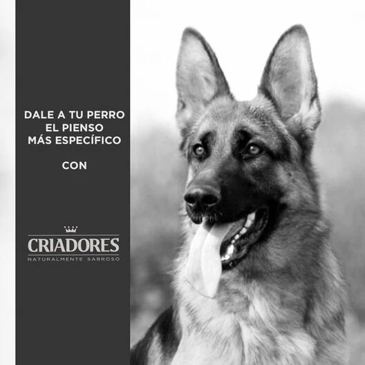 Criadores Adulto Cordero Y Arroz Pienso Para Perros De Razas Mediana Y Grande 7 Criadores Adulto Cordero Y Arroz Pienso Para Perros De Razas Mediana Y Grande - Imagen 5