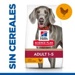 Hill's Hill’s Science Plan Adult Large Pollo Pienso Para Perros