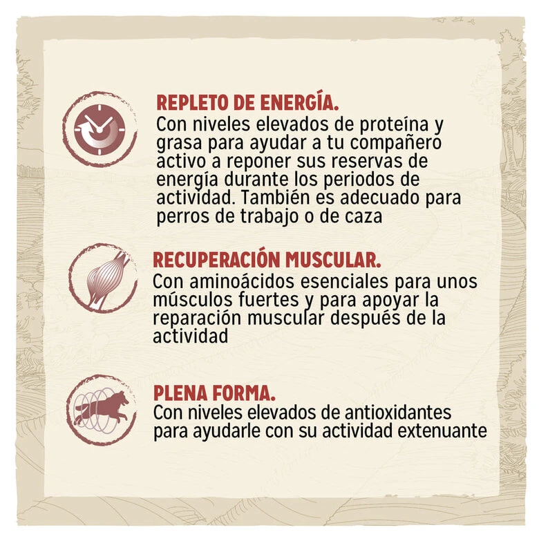 Purina Dog Chow Active Pollo Pienso Para Perros 4 Purina Dog Chow Active Pollo Pienso Para Perros - Imagen 2