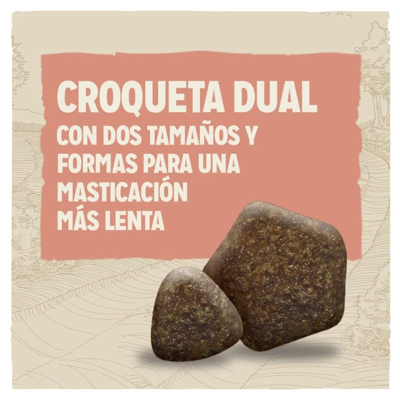 Purina Dog Chow Active Pollo Pienso Para Perros 5 Purina Dog Chow Active Pollo Pienso Para Perros - Imagen 3