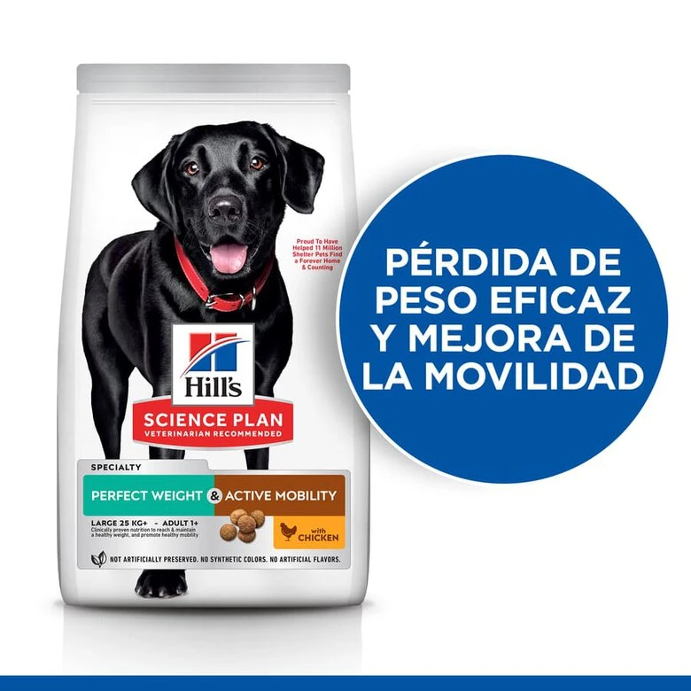 Hill's Science Plan Perfect Weight & Active Mobility Pollo Pienso Para Perros 5 Hill's Science Plan Perfect Weight & Active Mobility Pollo Pienso Para Perros - Imagen 3