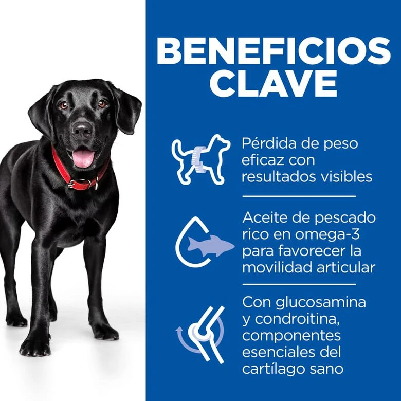 Hill's Science Plan Perfect Weight & Active Mobility Pollo Pienso Para Perros 6 Hill's Science Plan Perfect Weight & Active Mobility Pollo Pienso Para Perros - Imagen 4