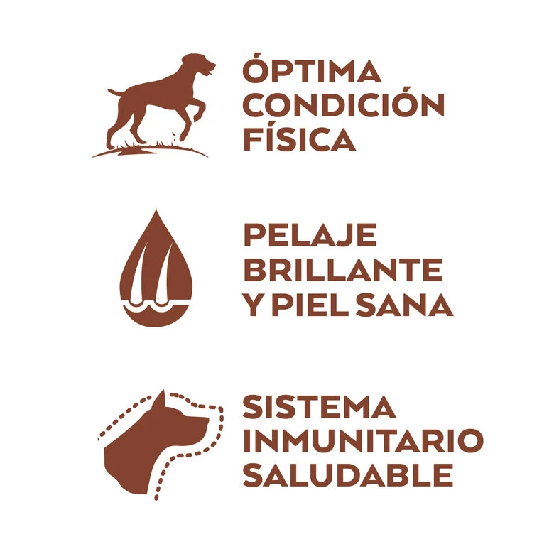 Nature's Variety Adult Medium Selected Pollo Pienso Para Perros 4 Nature's Variety Adult Medium Selected Pollo Pienso Para Perros - Imagen 2
