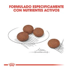 Royal Canin Digestive Care Mini Pienso Para Perros -Perros Artículos Tienda pienso perro royal canin digestive care ROY2447601204