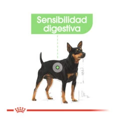 Royal Canin Digestive Care Mini Pienso Para Perros -Perros Artículos Tienda pienso perro royal canin digestive care ROY2447601205