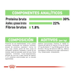 Royal Canin Digestive Care Mini Pienso Para Perros -Perros Artículos Tienda pienso perro royal canin digestive care ROY2447601207